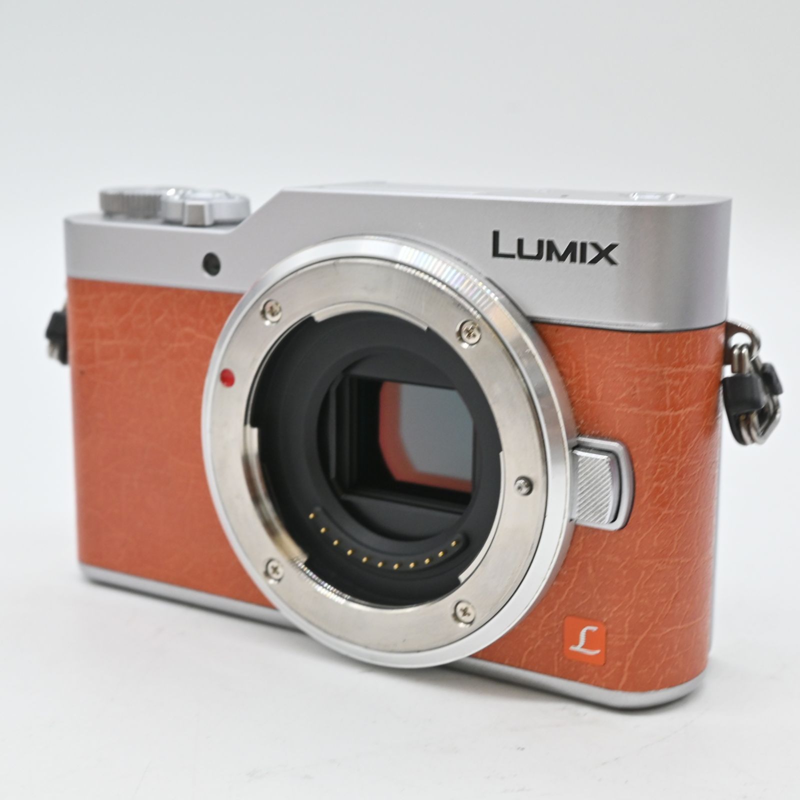 Panasonic ミラーレス一眼カメラ GF 9 ボディ