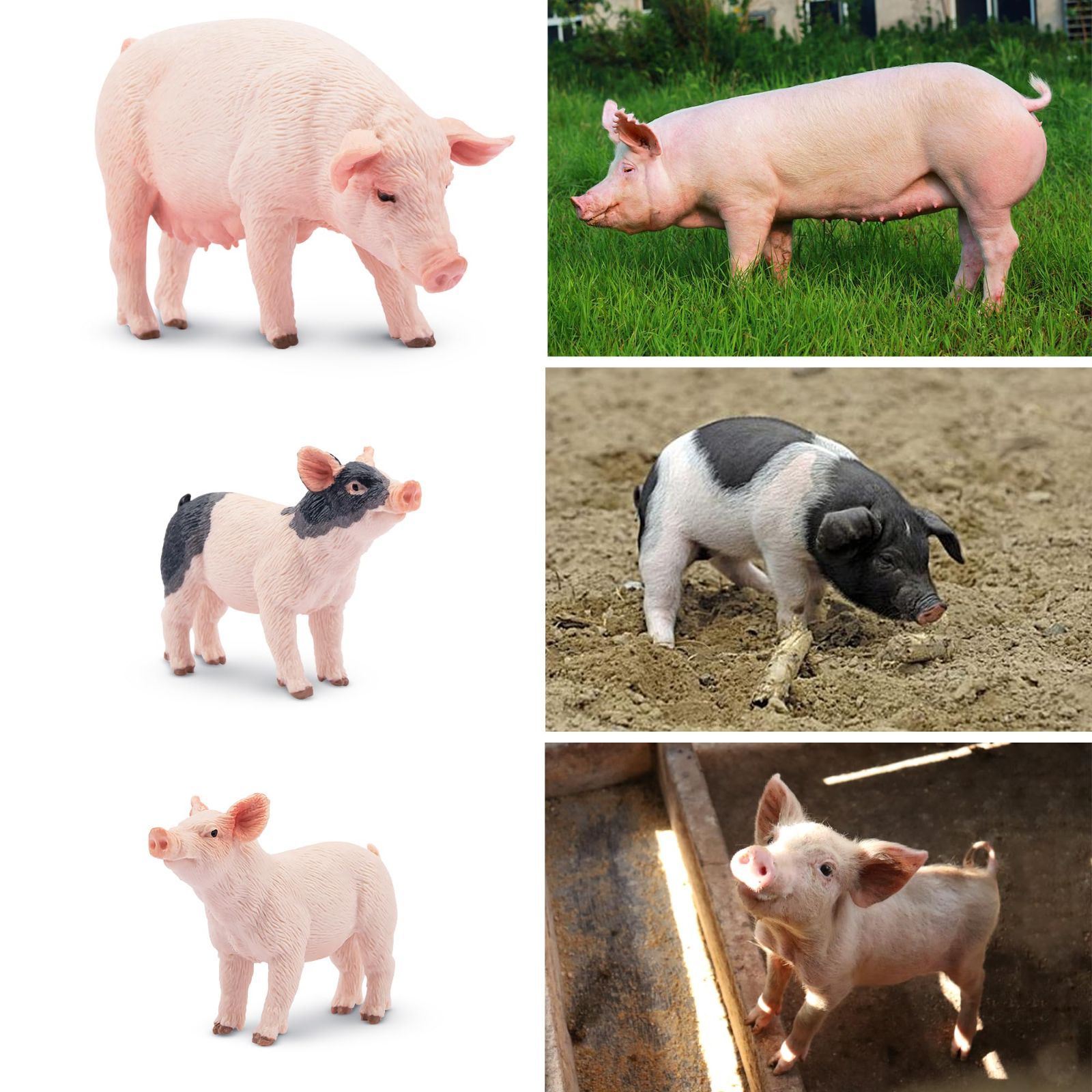 豚のキャラクターフィギュア3体セット　確認用 在庫処分】ブタフィギュアセット 動物フィギュア 豚モデル 8PCS