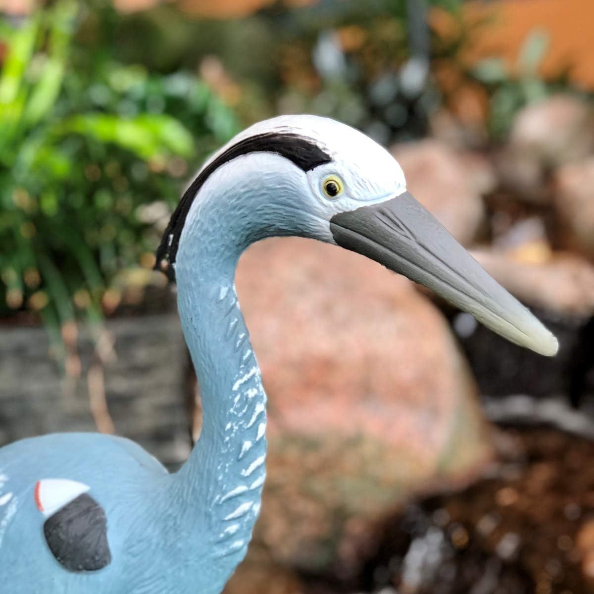 Aquascape製 アオサギ （青鷺）リアルフィギュア動物彫像 鳥デコイ 池