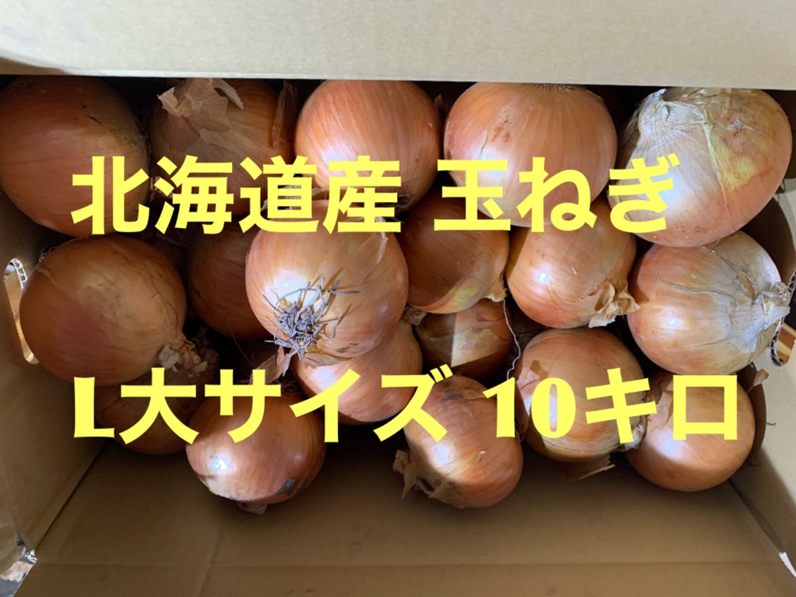 北海道産新玉ねぎ L大 10kg 甘みと食感＊新品 - メルカリ
