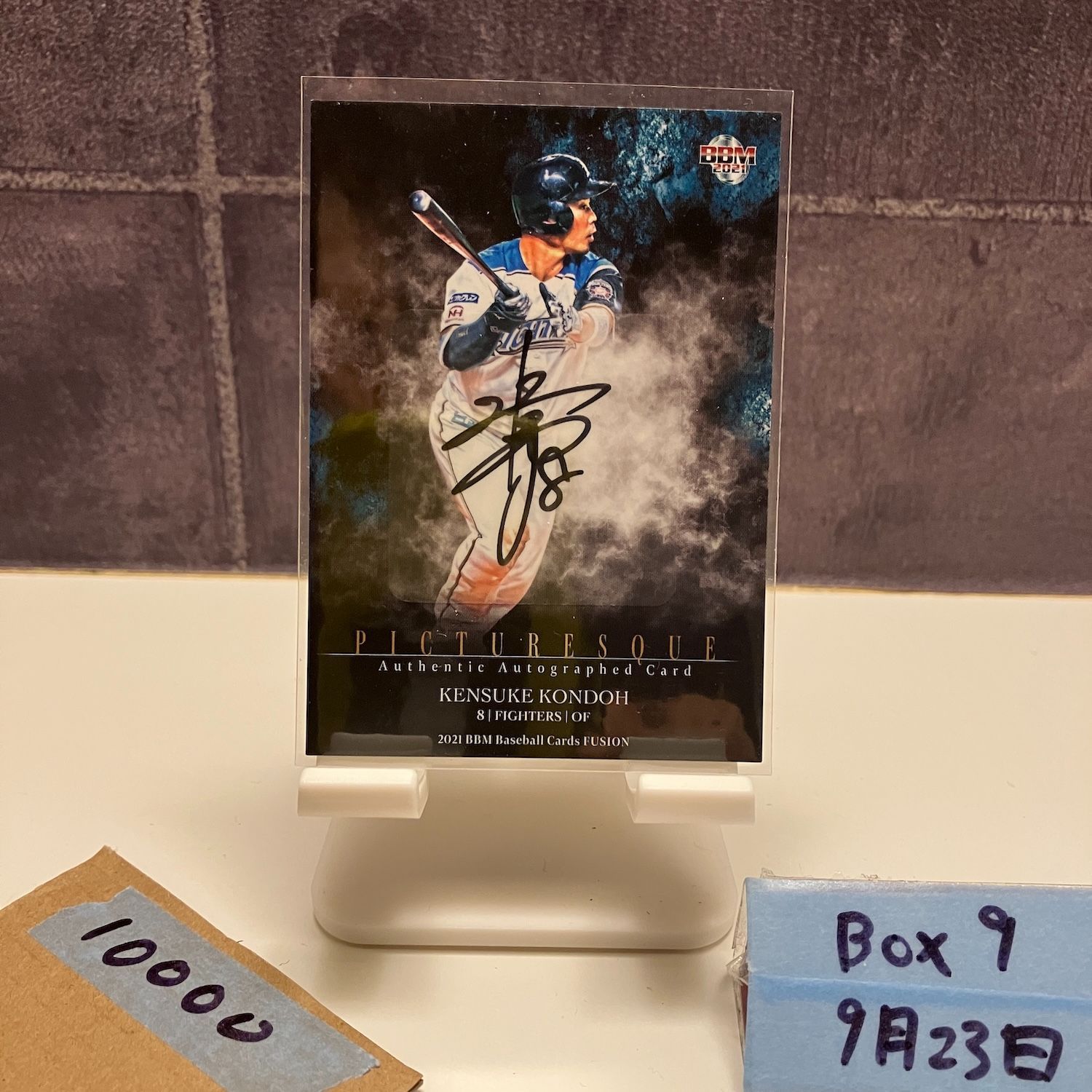 2021 BBM FUSION 近藤健介 21|25 直筆サイン 北海道日本ハムファイターズ Picturesque カード