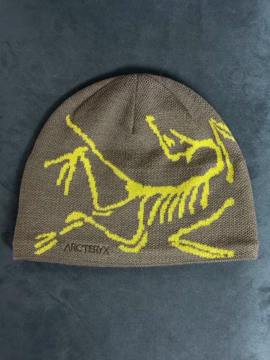 ARC TERYX ビーニー BIRD ヘッド トーク ポリッジ