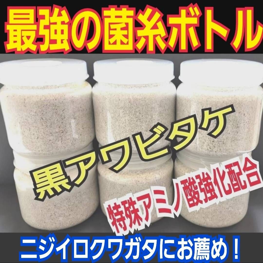 貴重！黒アワビタケ菌糸瓶【2本】特殊アミノ酸強化配合！ニジイロ