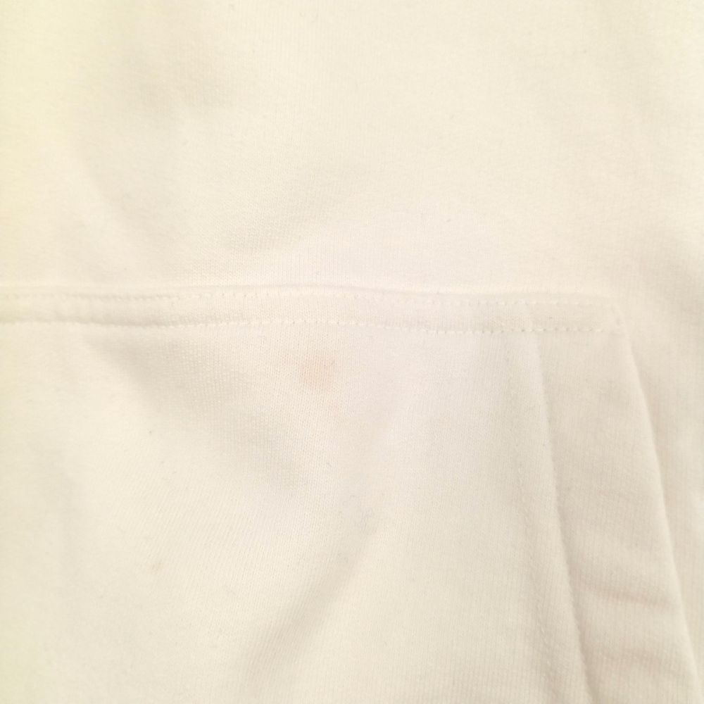 DIOR (ディオール) 21AW×PETER DOIG フロントロゴ刺繍 プルオーバー  