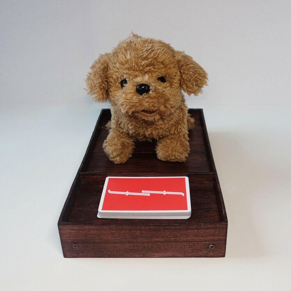 手品 Magical Dog 「おもちゃの犬がカードを当てる」-