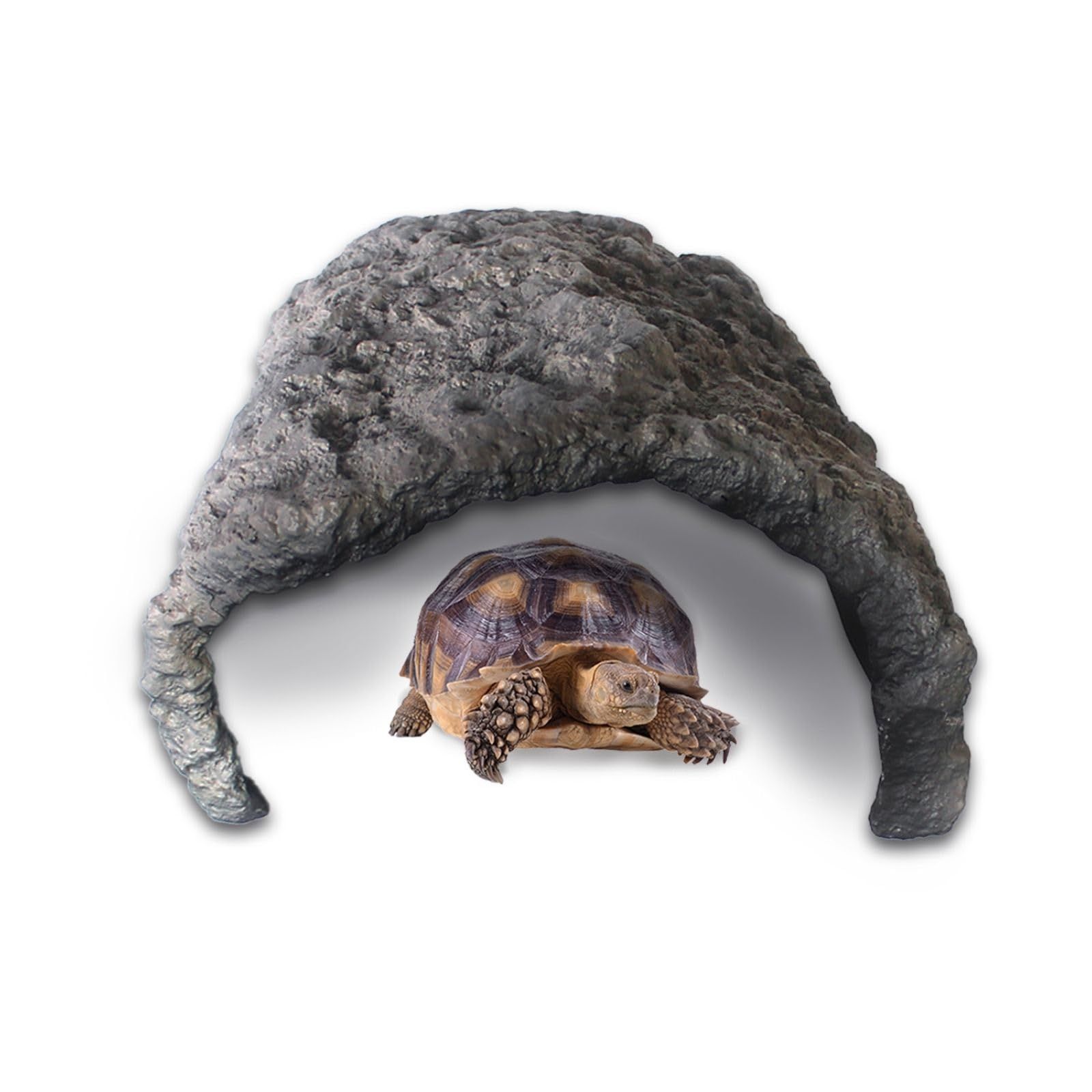 ARS10】「サイバティック・ワイバーン」G3 ウルトラ DM3限定特典