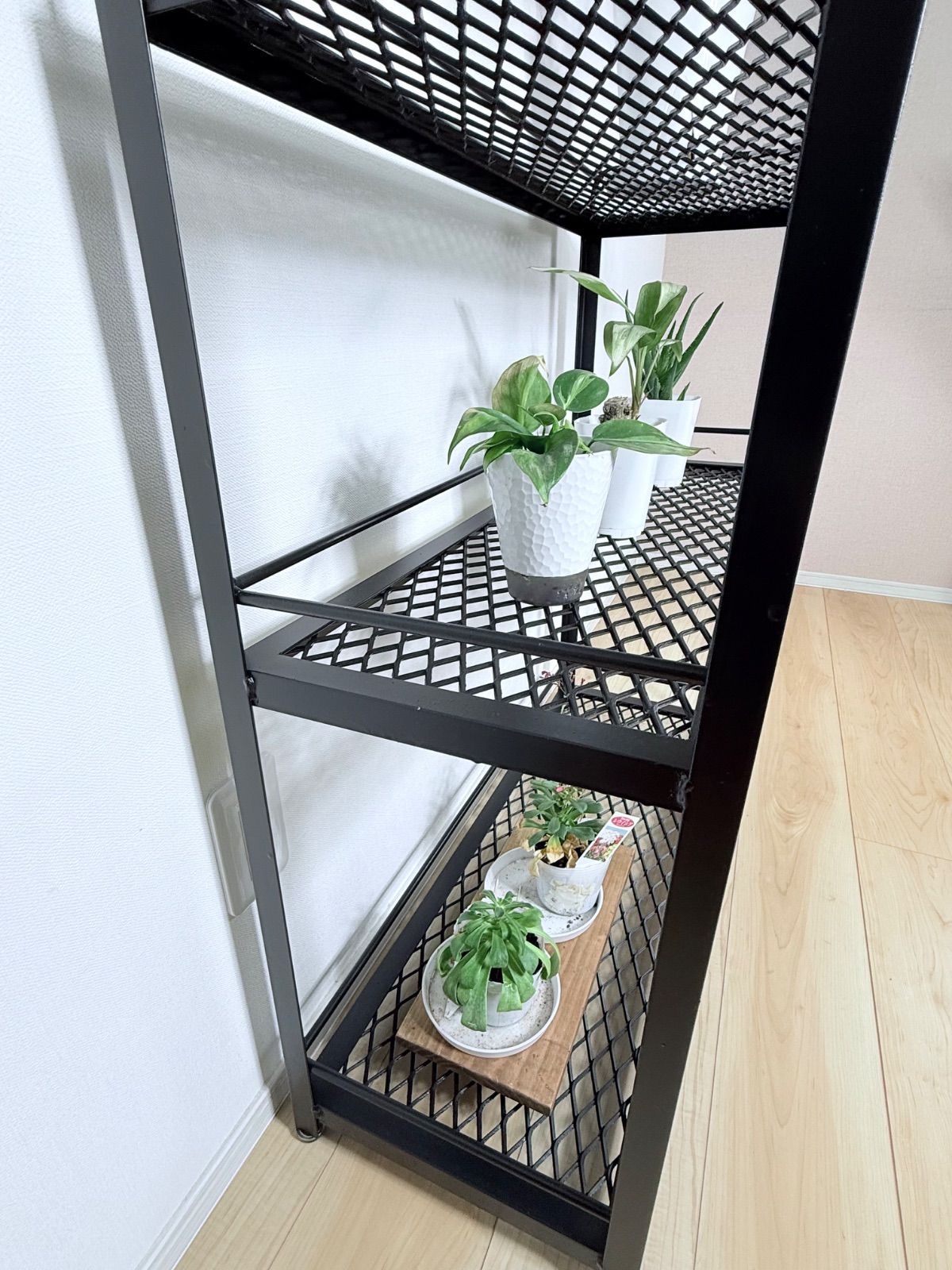 ボタニカルシェルフ アイアン 観葉植物棚 アガベ育成棚 観葉植物 棚