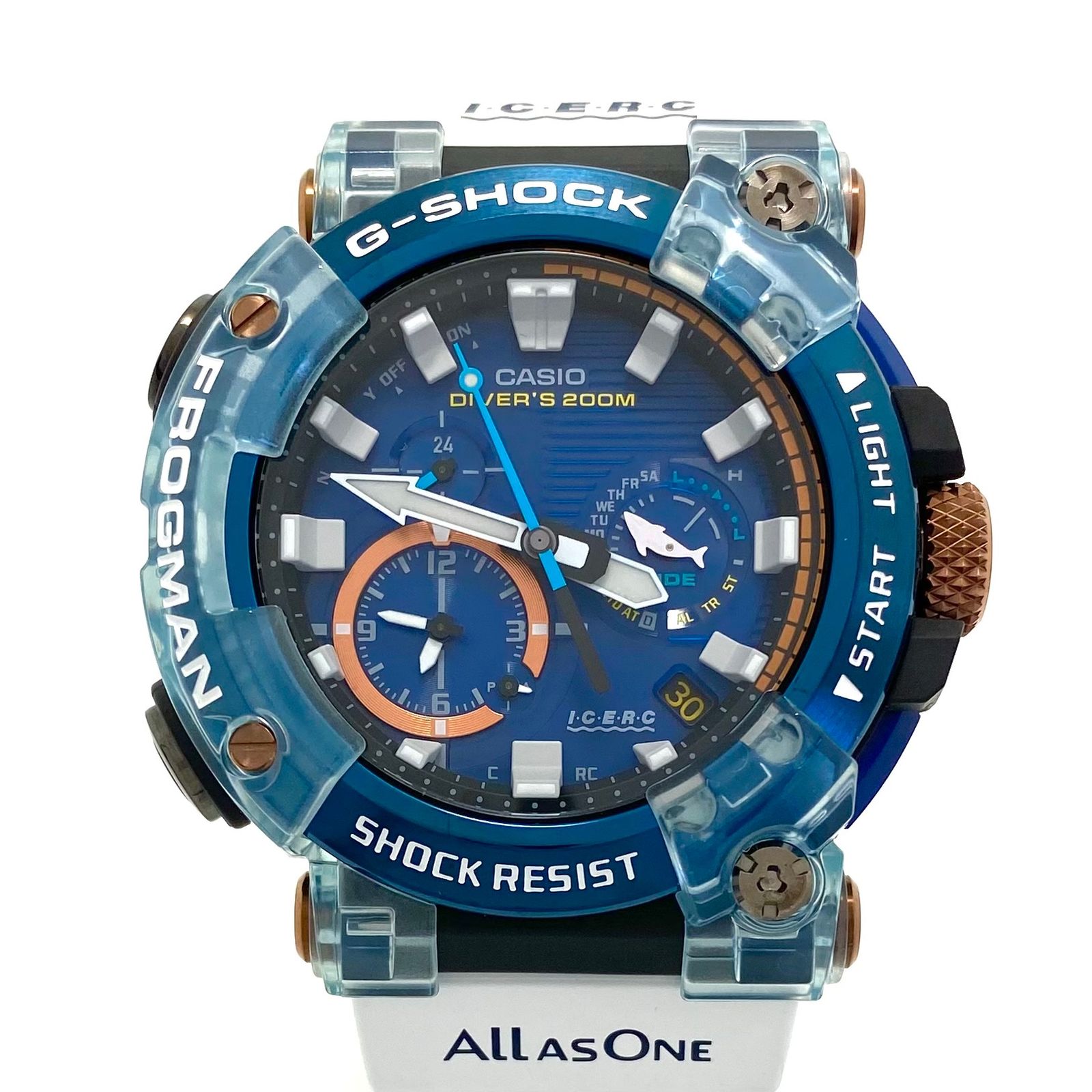 maa0329様確認用♡イニシャルオブジェ希少G-SHOCK イルクジフロッグマン