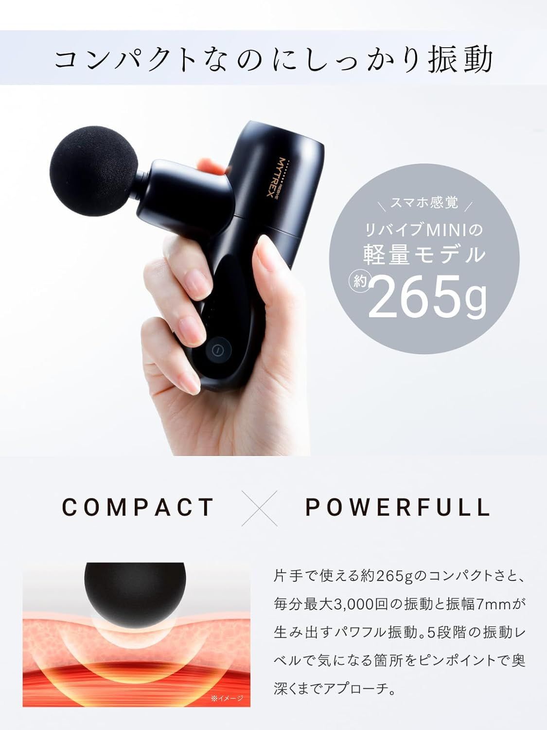リバイブミニXS MT-RMXS21