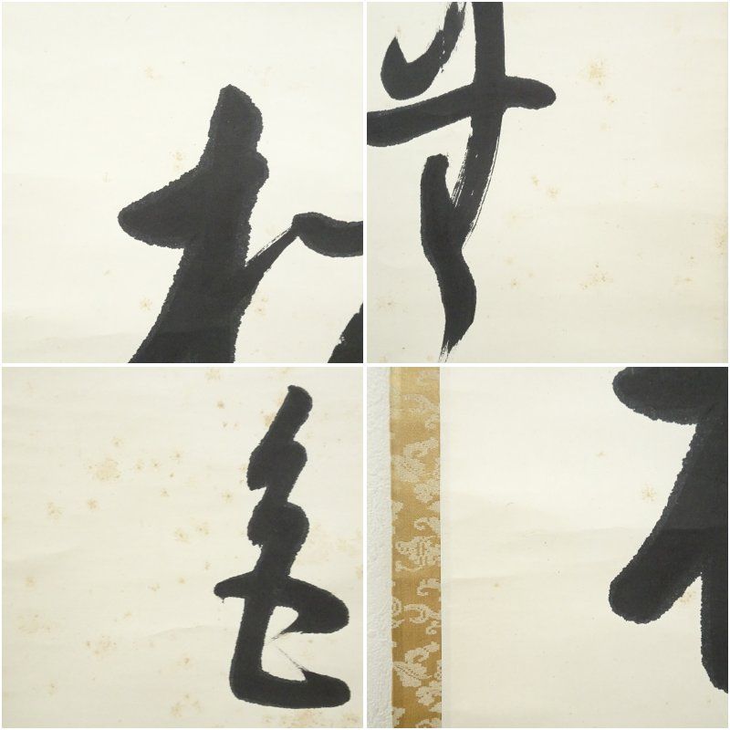 武者小路千家 十三代 有隣斎筆 松無古今色 一行書 肉筆紙本掛軸 保護箱 掛け軸 床の間 書 おしゃれ 絵画 表具 芸術 茶道 年中掛け インテリア 茶掛 掛物 和室 1月 11月 秋 WWW_IBETON_RU