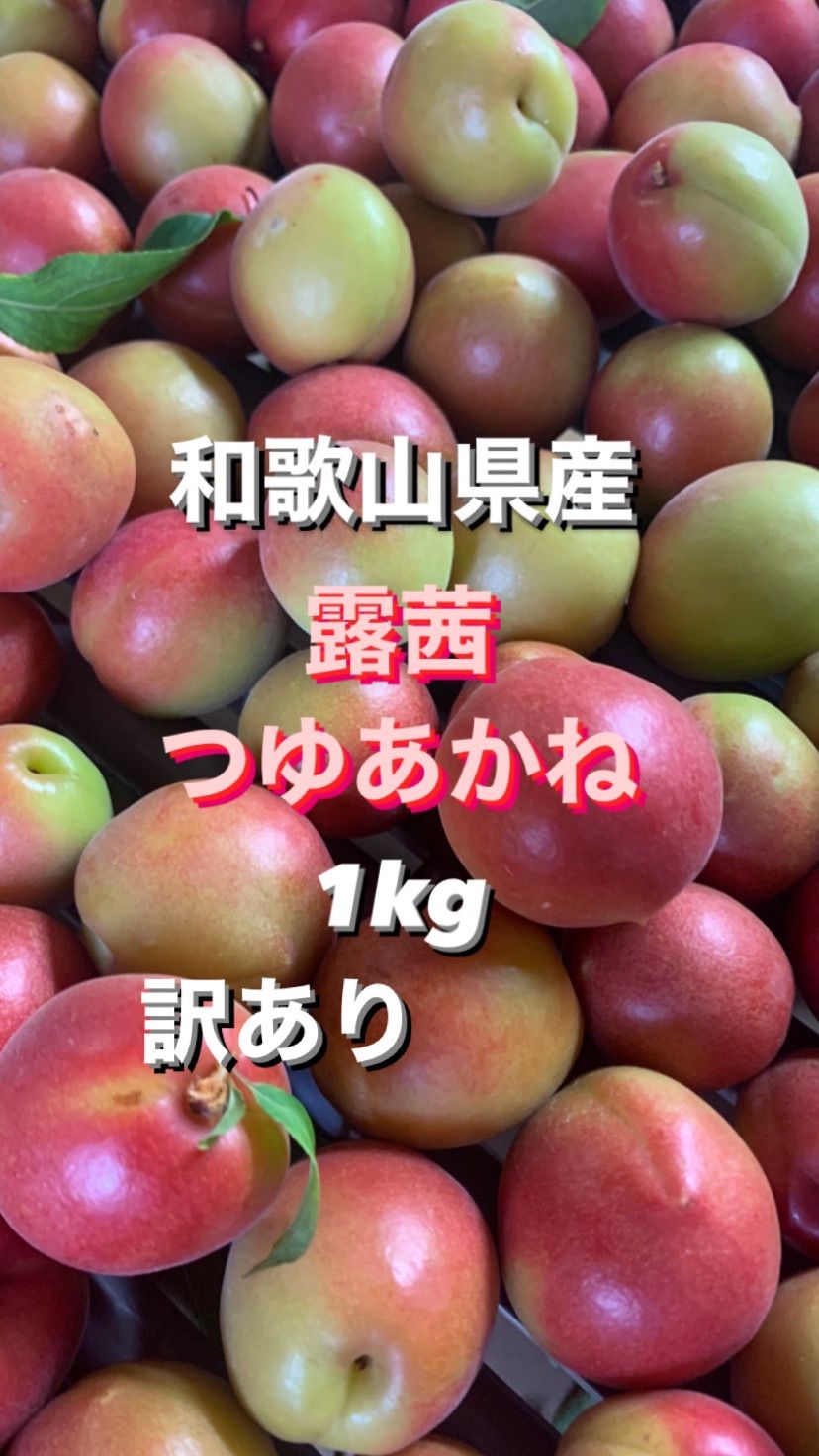 クール便！和歌山県産 紀州梅 露茜 つゆあかね 訳あり1kg - メルカリ