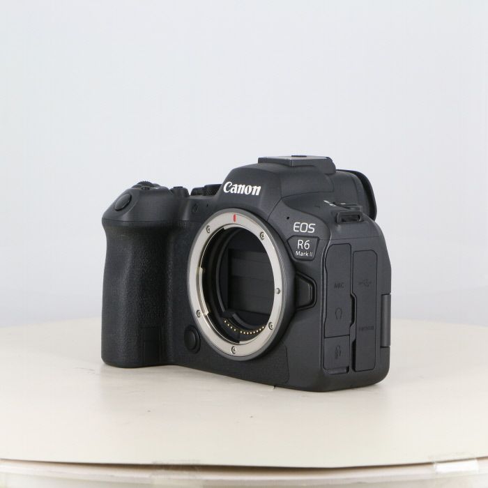 北海道湧別川 黒曜石E 超希少 白滝村 湧別川の石 - sapporochitan