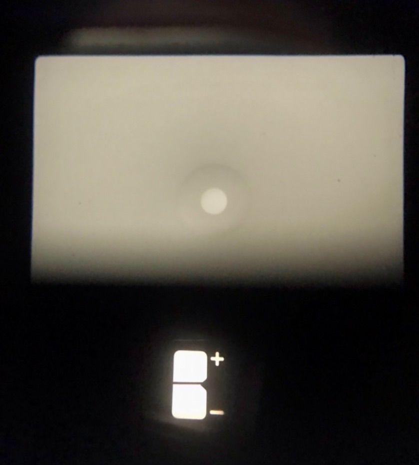 フィルムカメラ