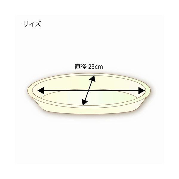 バガスペーパーウェア 徳用
