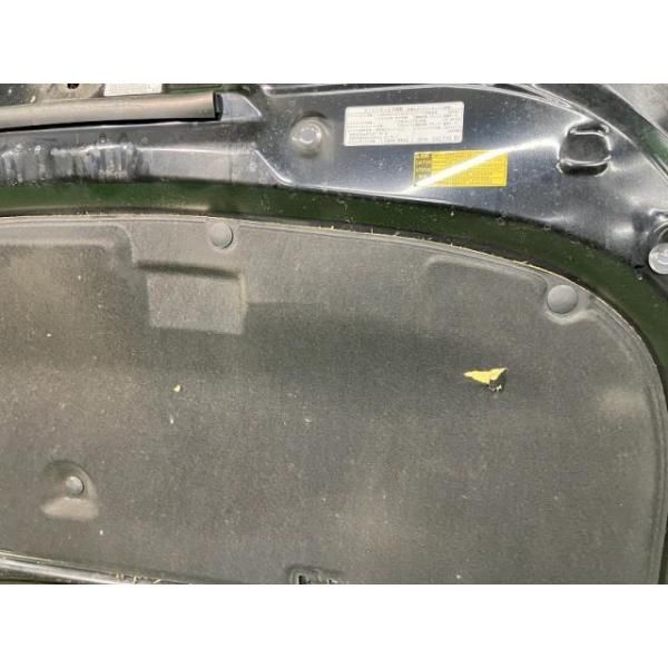 SAI AZK10 ボンネット・フードパネル S ASパッケージ 53301-75010 202  