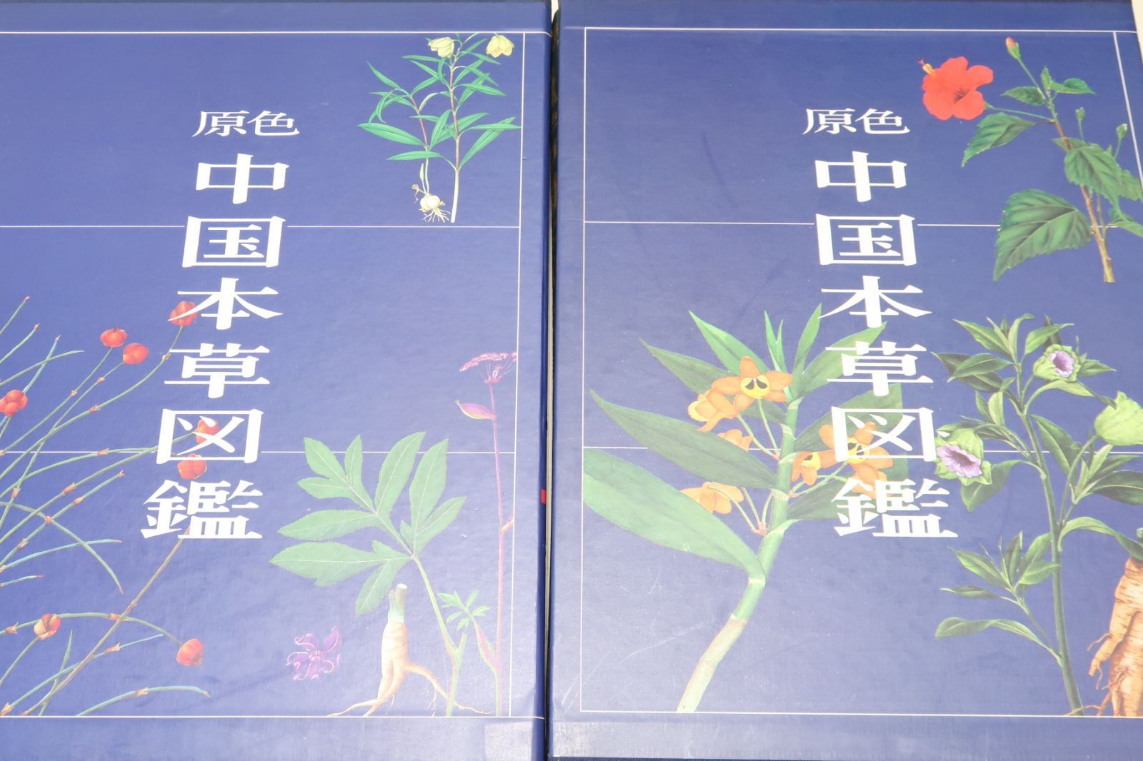 原色中国本草図鑑・9冊/最新最大の原色本草図鑑/多数の薬用植物に少数