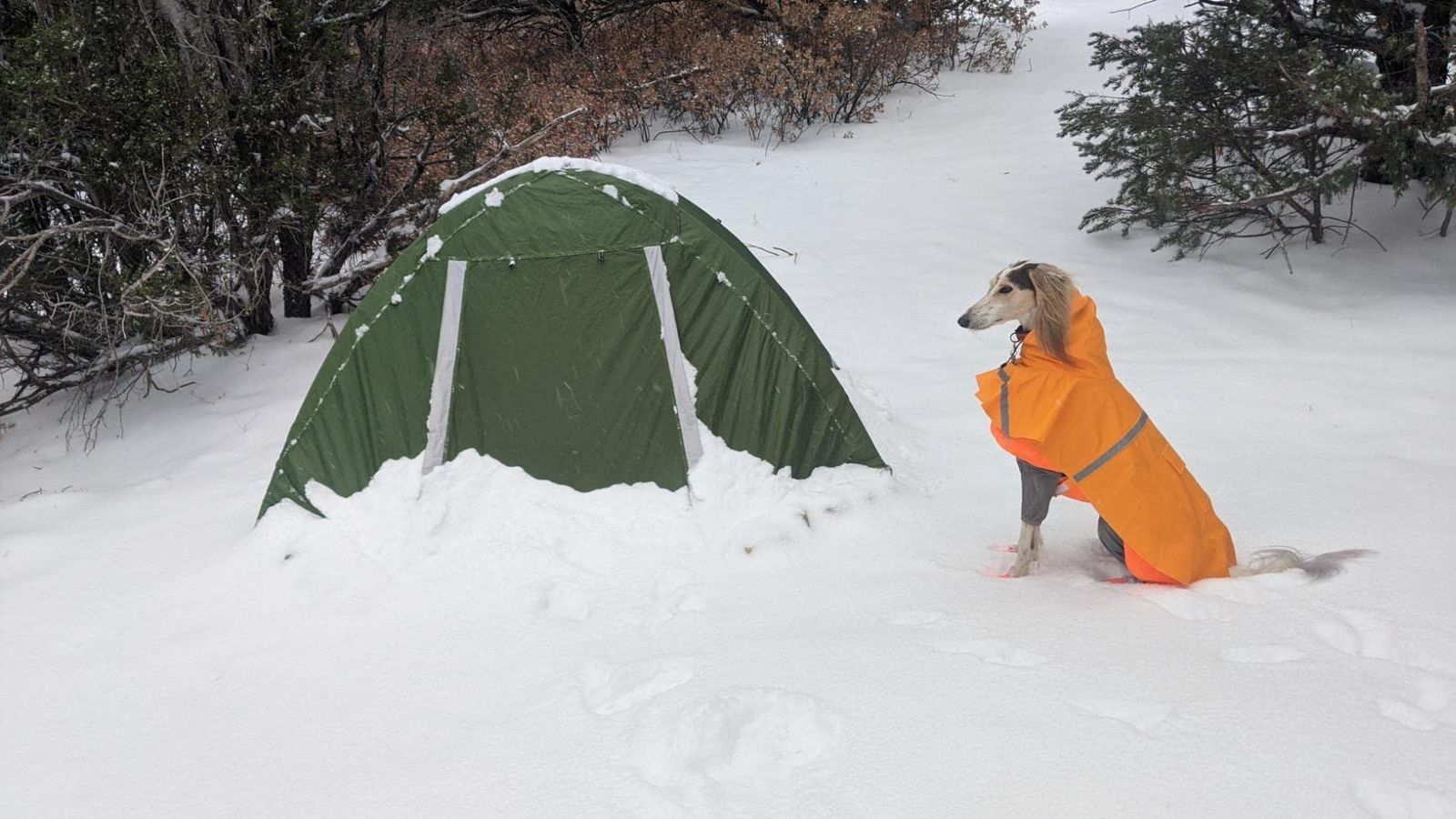 テント 二重層 テント コンパクト 簡易 ドームテント 二人用 軽量 耐水圧5000MM - 防水 登山テント 冬用テント スカート付き キャンプ 防寒 4シーズンテント 2人用 アウトドア Clostnature キャンプ用品