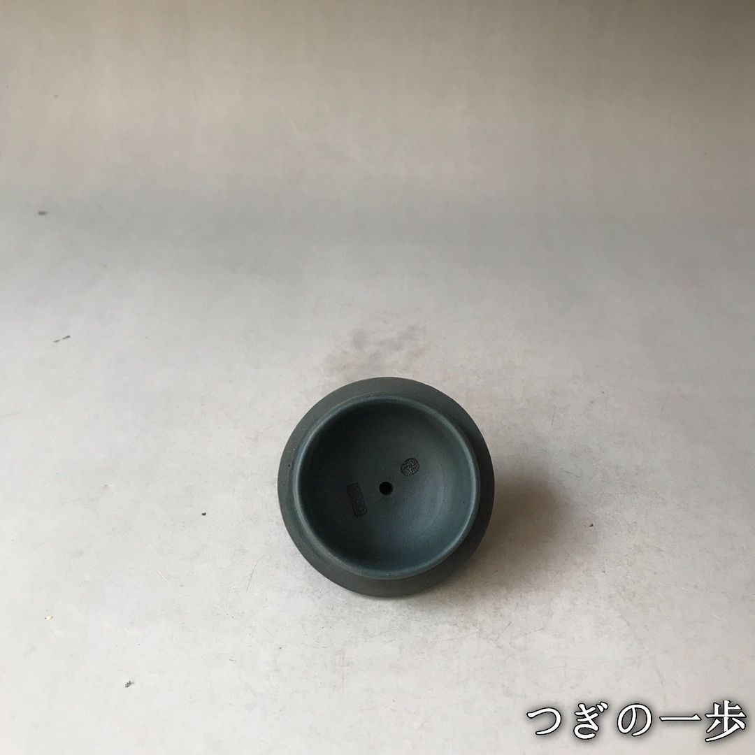 収集家