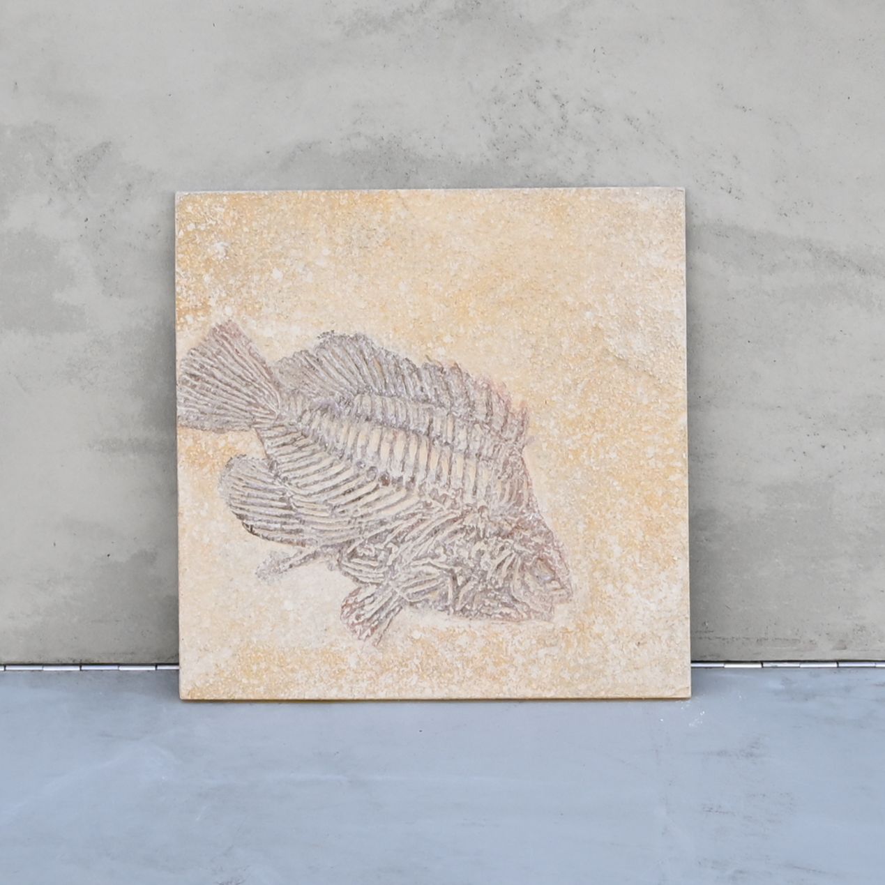 アートパネル　FishタイプA No.4