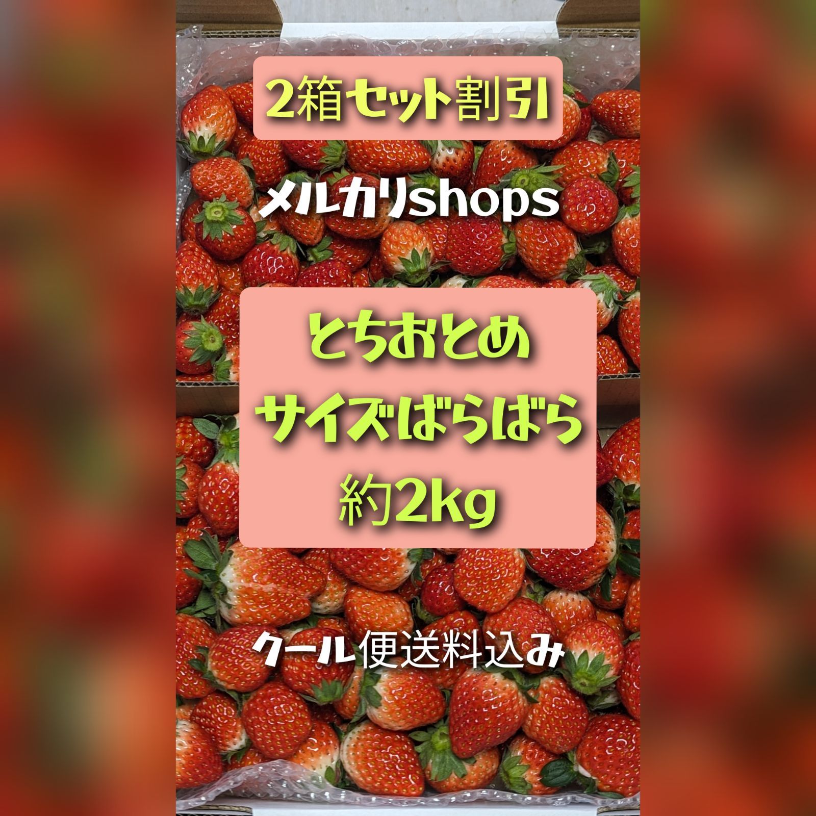 ②本日発送 いばらキッス イチゴ 苺 いちご 注目の福袋を