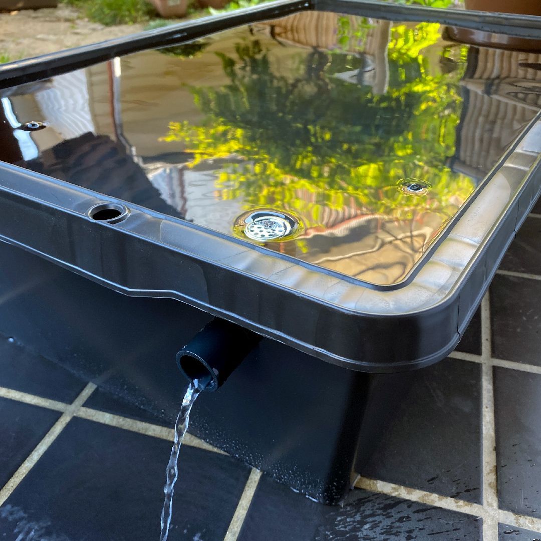 新タイプ】メダカ飼育ケース 80㍑黒x1個 オーバーフロー対策付き トロ