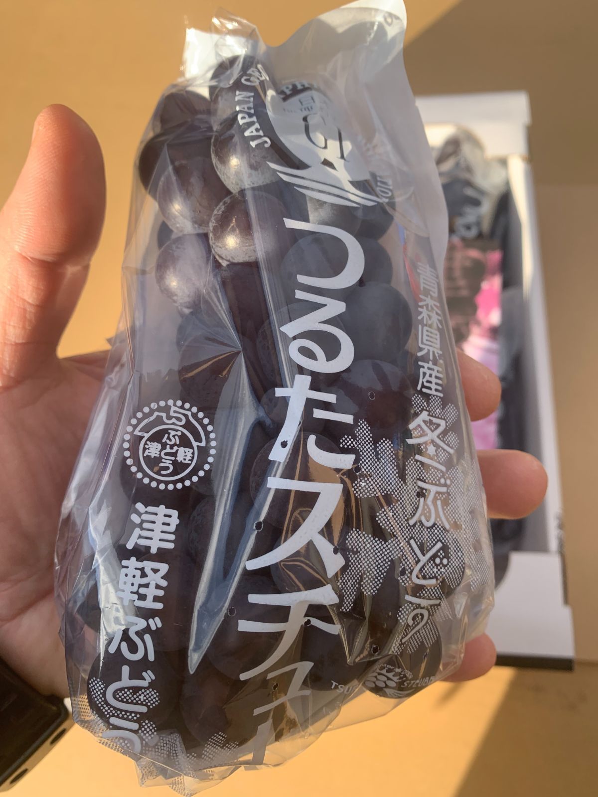 【最終売尽しセール】【常温便送料無料】【秀】青森県津軽地方産ぶどう　つるたスチューベン　約８キロ　ご家庭用　ご贈答用