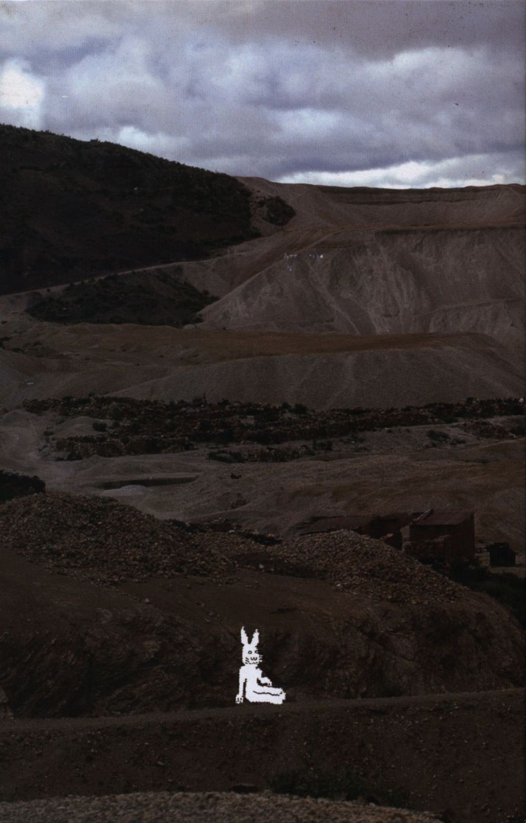 小沢健二 うさぎ! 沼の原篇 全3セット 小沢健二 うさぎ！ 本 書籍