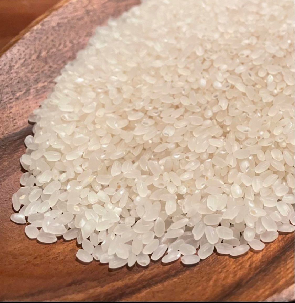 農薬化学肥料除草剤不使用 令和6年度米 愛媛県産ヒノヒカリ 稲架掛け米20kg