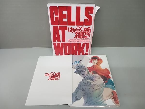 【DVD美品】はたらく細胞 一期 全巻セット はたらく細胞!!／DVD／1（完全生産限定版） | TBS・MBSアニメ 公式