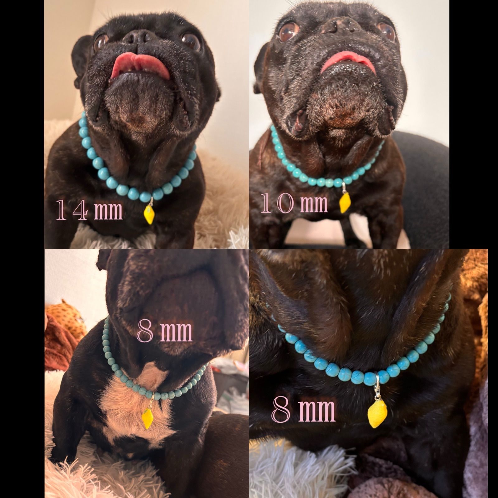 犬用品 中型犬用ネックレス カラフルターコイズ12㎜40㎝〜
