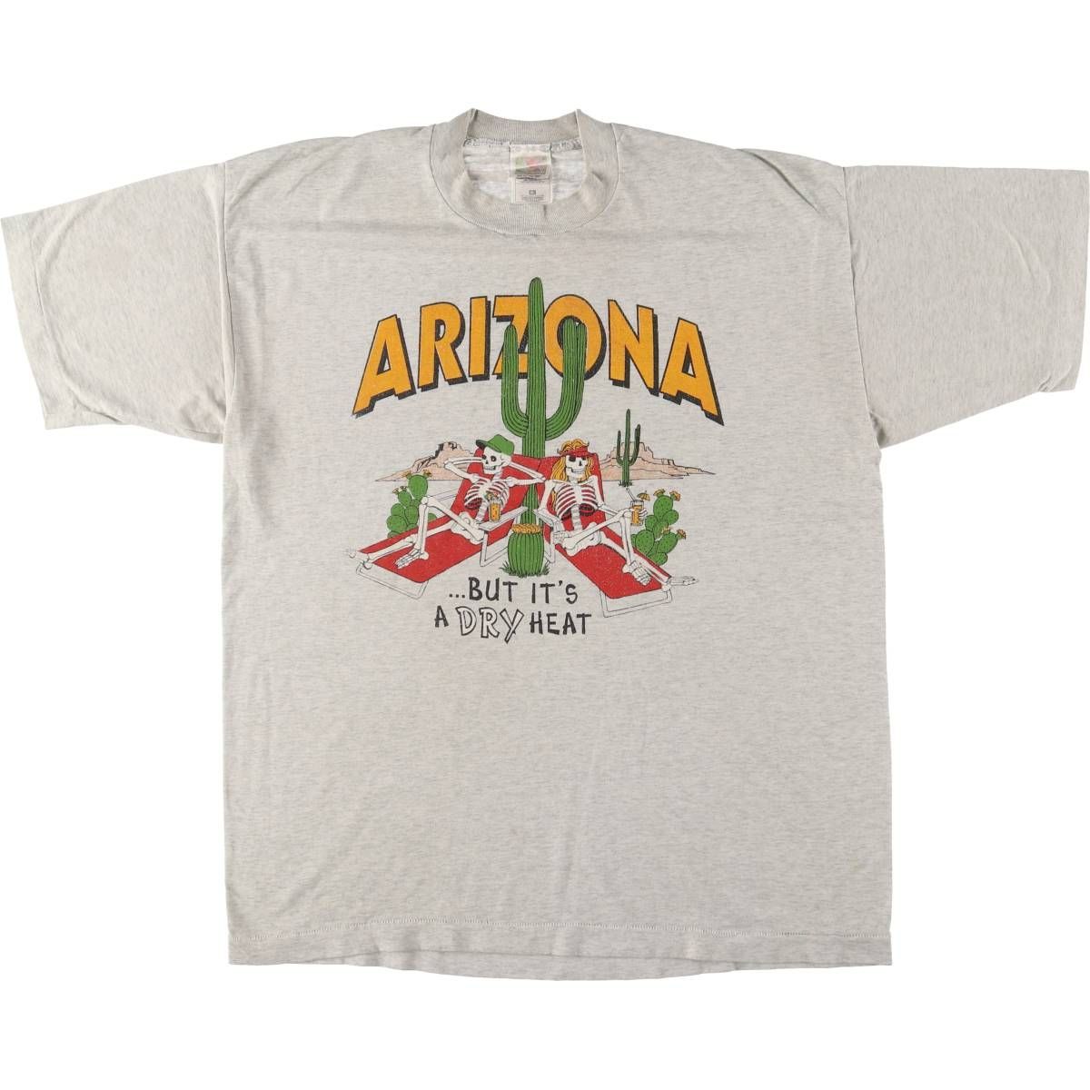 古着 00年代 フルーツオブザルーム FRUIT OF THE LOOM ドクロ柄 スカル柄 メッセージプリントTシャツ メンズXL相当|eaa543497