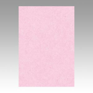 クーポン配布中-スーパー 対象 まとめ 色画用紙 文運堂 ニューカラーＲ 桜 8NCR-218 4954022682187 1冊 ×10セット