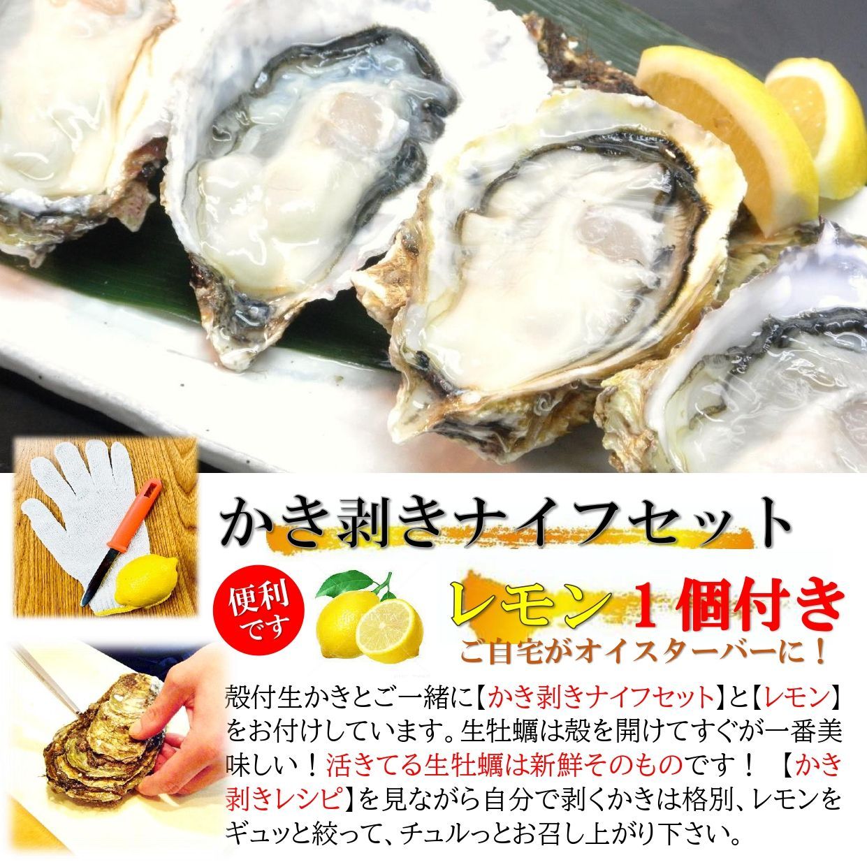 生食用 殻付生牡蠣 大粒 15個セット 三陸産の生かきで自宅がオイスターバーに！-2