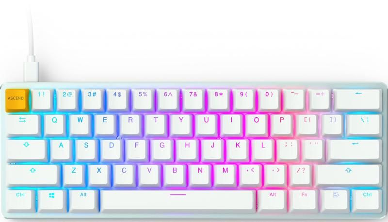 Glorious グロリアス GMMK1 ゲーミング キーボード 白 60% コンパクト LEDバックライト付き 英語配列 光る RGB メカニカルキーボード 有線 タイプc USB Mechanic