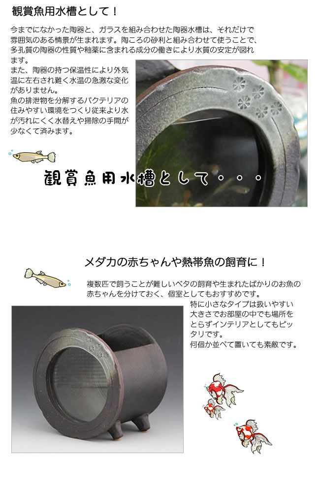 信楽焼 2色から選べる 金魚鉢 メダカ鉢 アクアリウム ガラス 信楽焼 2色から選べる 金魚鉢 メダカ鉢 アクアリウム ガラス
