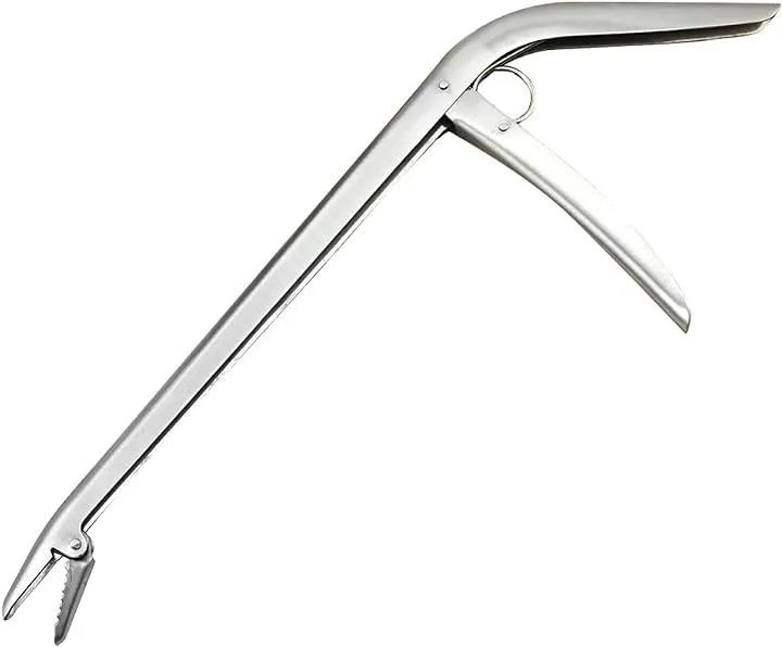 2025年最新】MIDOスクイーズの人気アイテム - メルカリ