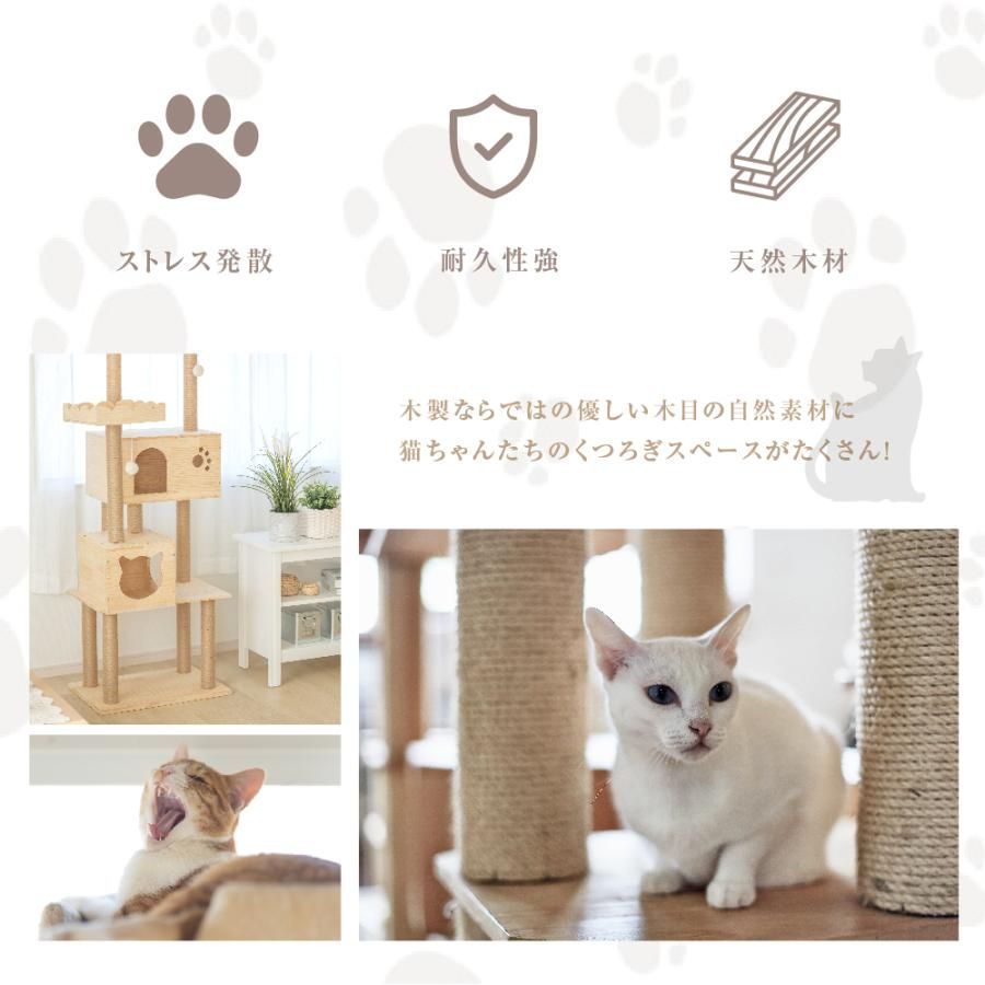 高さ159cm 多頭飼い
