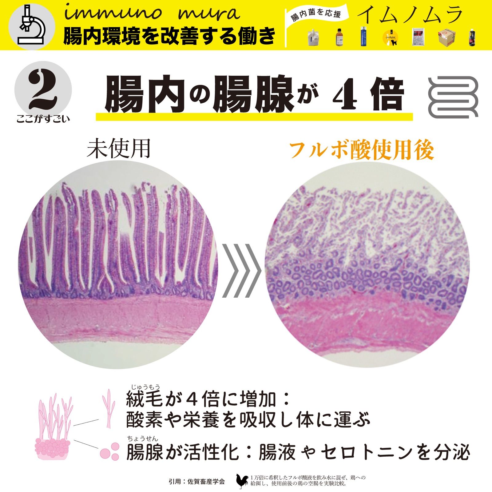 フルフミン201 70ml お試しパウチ 〜天然由来のマルチミネラルとフルボ 