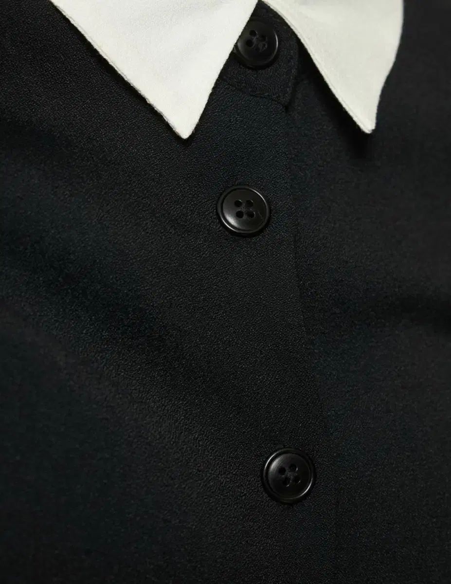 改革 ボタンダウン