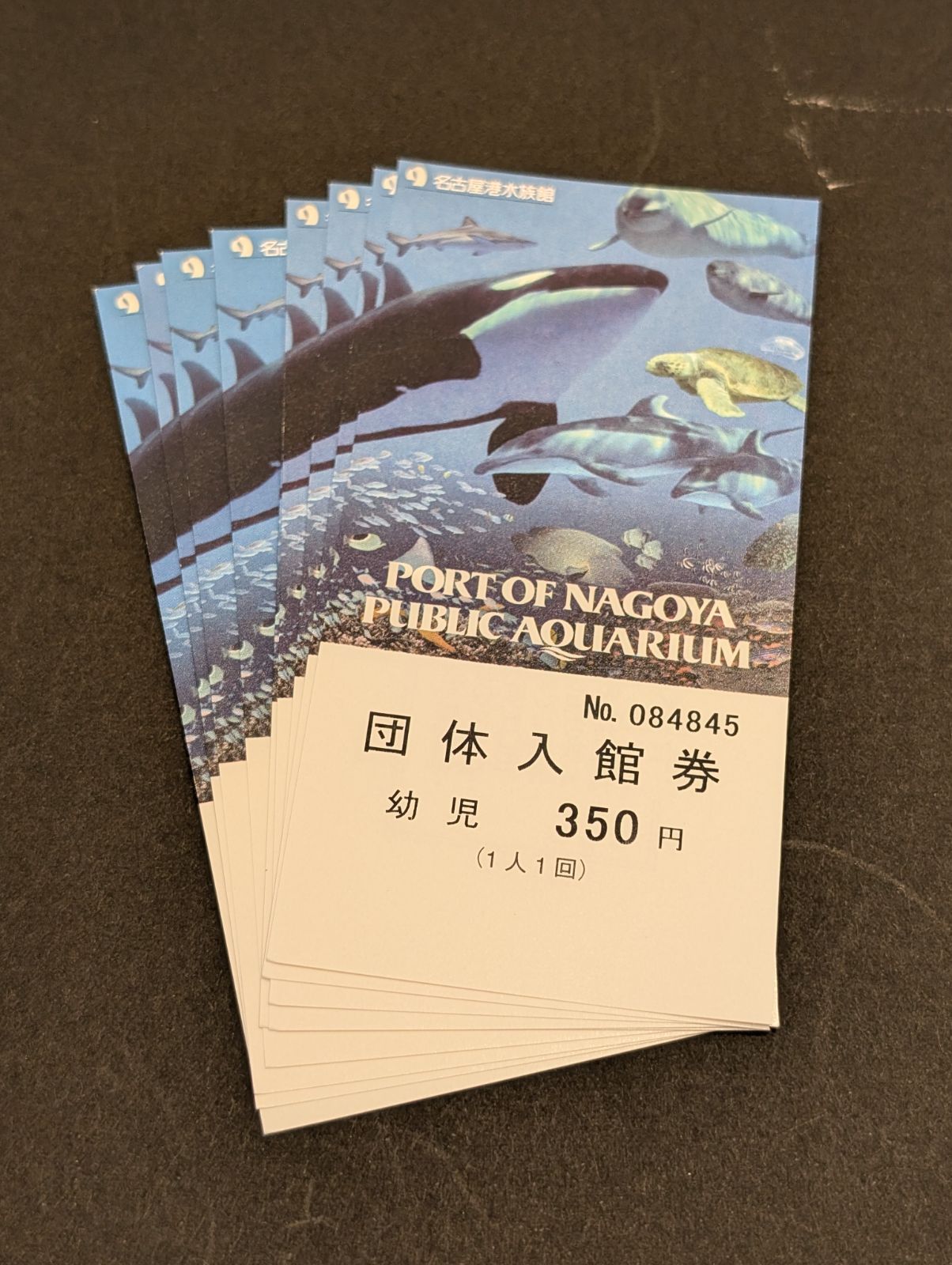 単品購入不可】追加用!名古屋港水族館 入館券 大人 1枚 1名様 単品購入不可】追加用!名古屋港水族館 入館券 大人 1枚 1名様