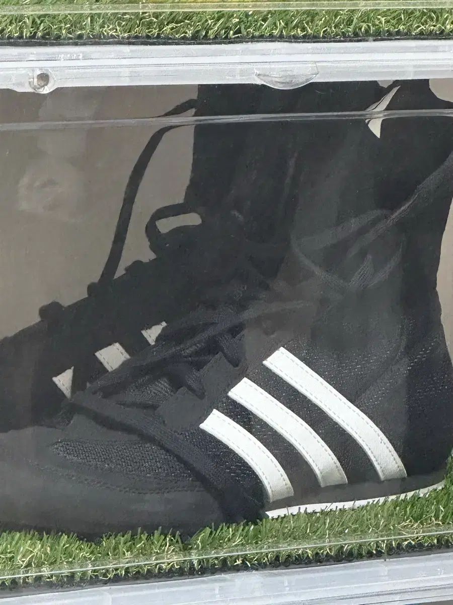 adidas アディダス ボクサー 豚 2 0 240