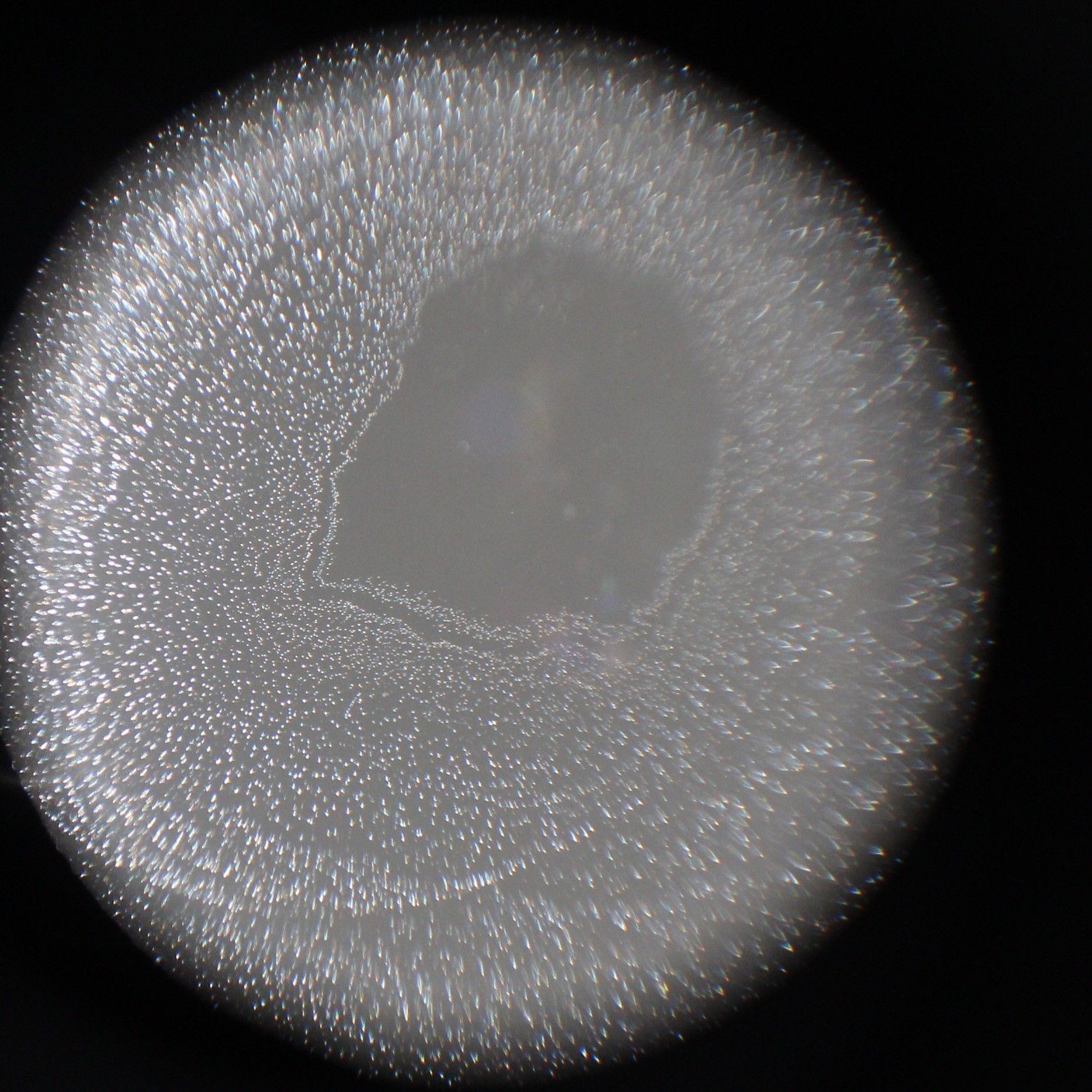 PENTAX 購入 K-rとジャンクレンズ2本セット 大関質店》PENTAX