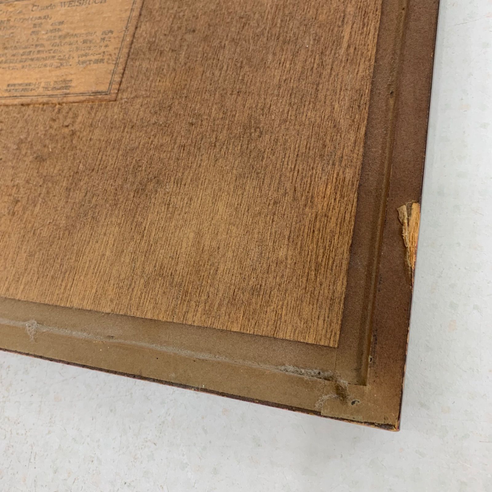 リトグラフ バイオリン演奏