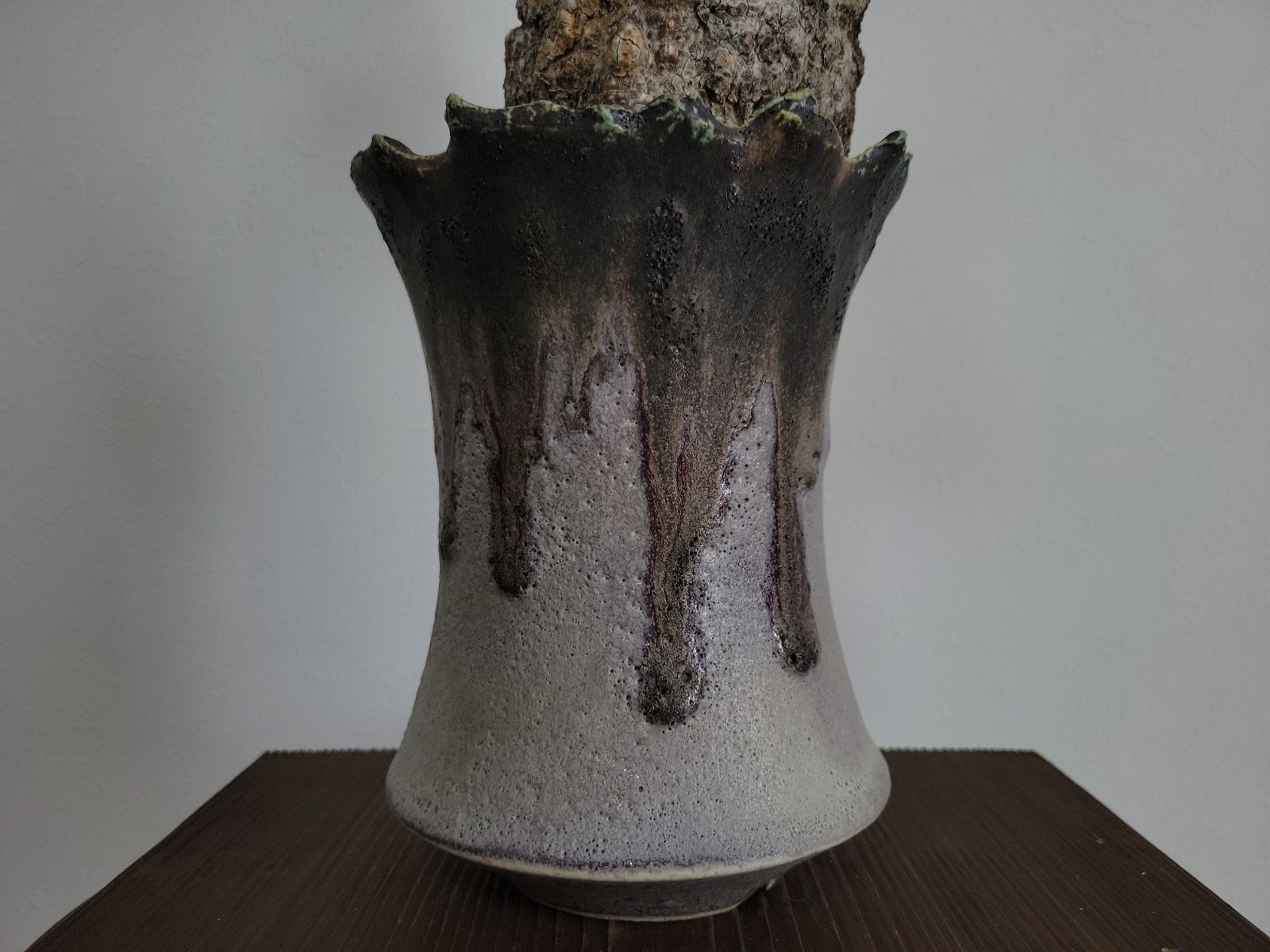 オペルクリカリアパキプス 現地球　発根済　良型　カタチ製作所 オペルクリカリア パキプス 現地球 – Caudex