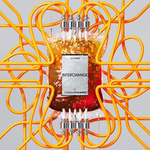 LP KERENMI interchange RZJ187180 avex 未開封 /00260 4K