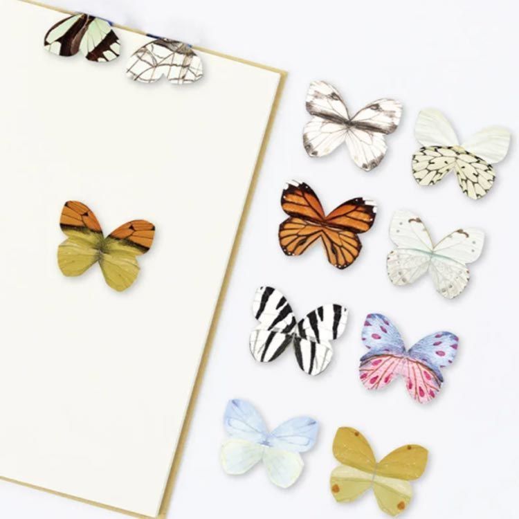 本にとまってるみたい