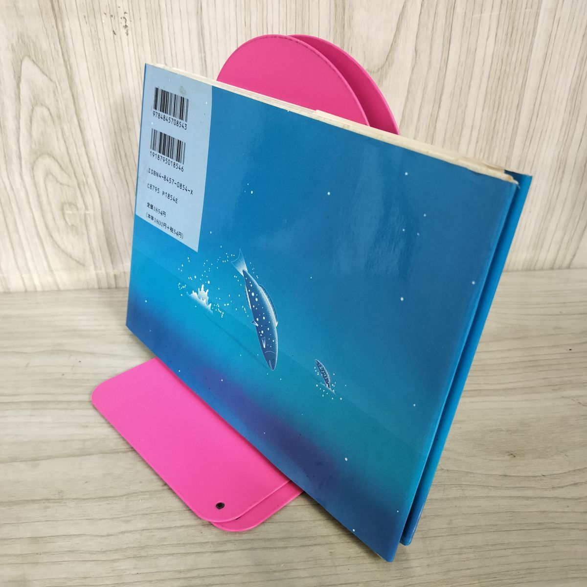 銀河の魚 VIDEO CD アンビエント・ムービー たむらしげる 銀河の魚 VIDEO CD アンビエント・ムービー たむらしげる