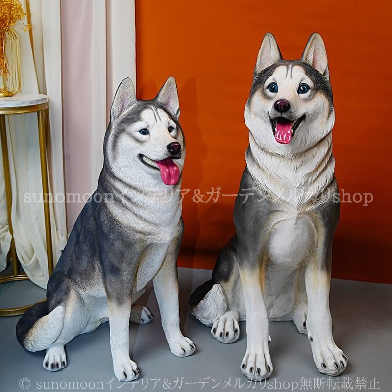 シベリアン ハスキー