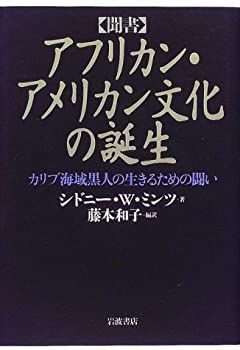  聞書 アフリカン・アメリカン文化の誕生 カリブ海域黒人の生きるための闘い