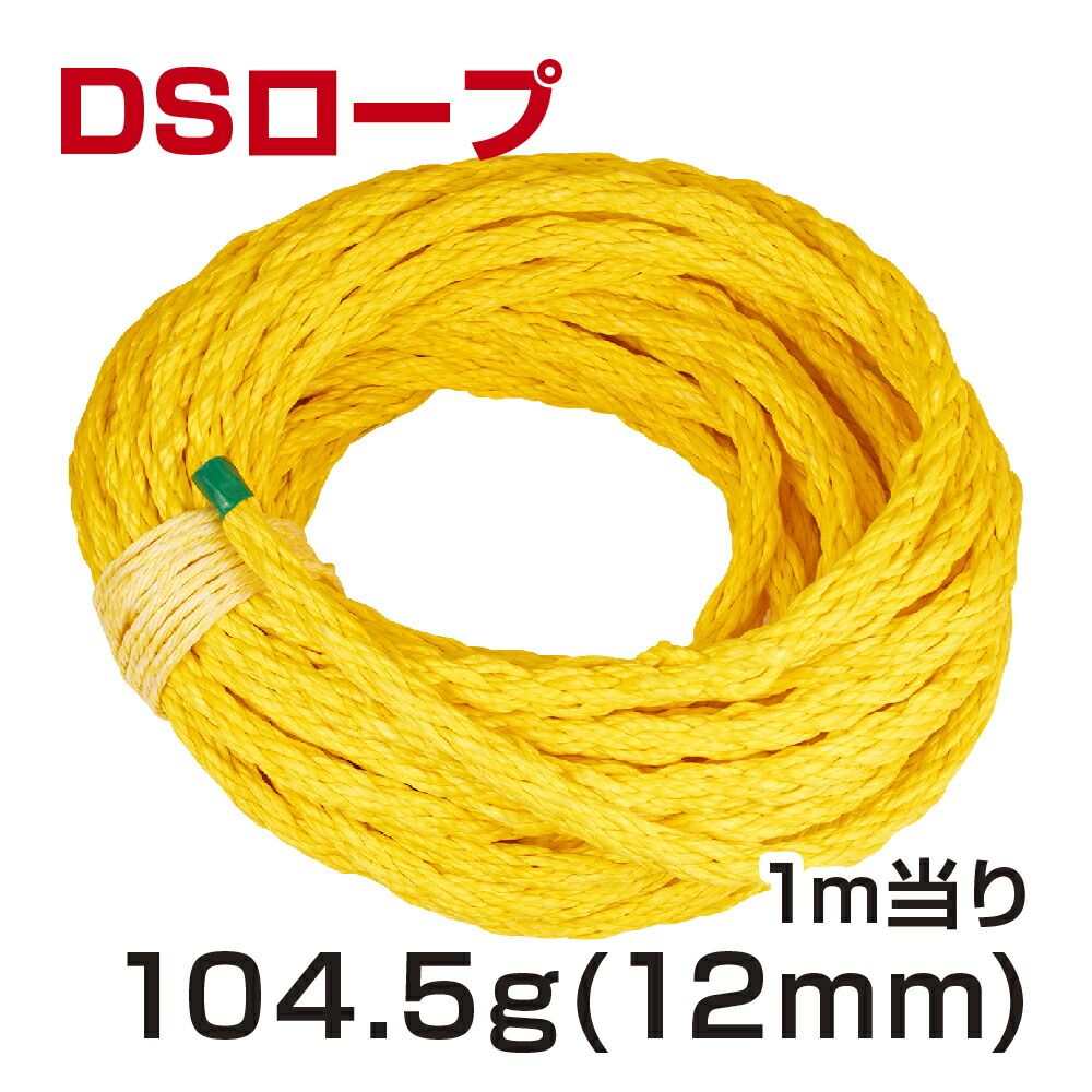 DSロープ12mm50m 加工なし